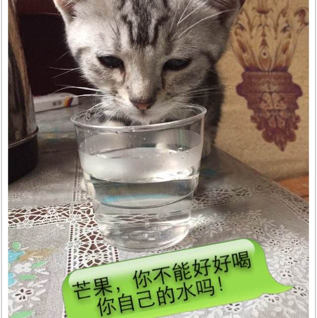 纽约市立大学学生卡